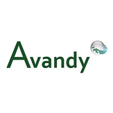 Avandy Logo