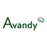 Avandy_Logo_163x163_72p