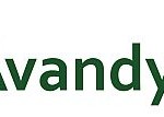 avandy-Logo_300pixi